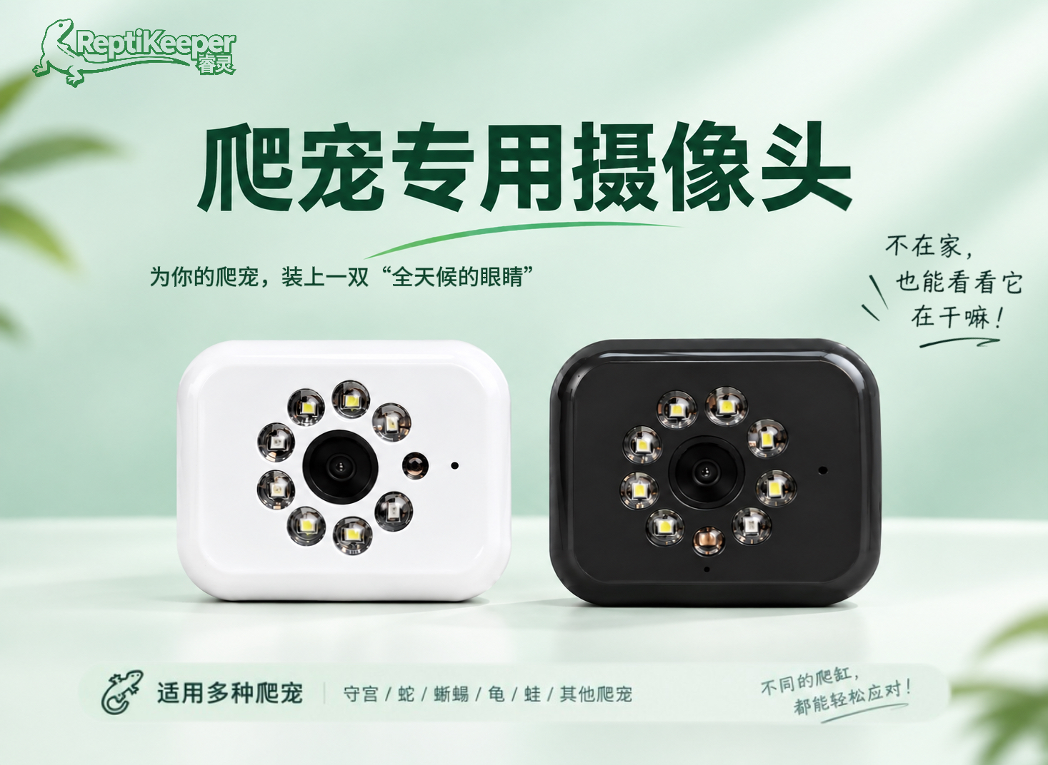 RK-C1 爬宠专用摄像头 黑白双色